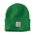 Carhartt Knit Watch Hat - Holly Green - Lenny's Shoe & Apparel