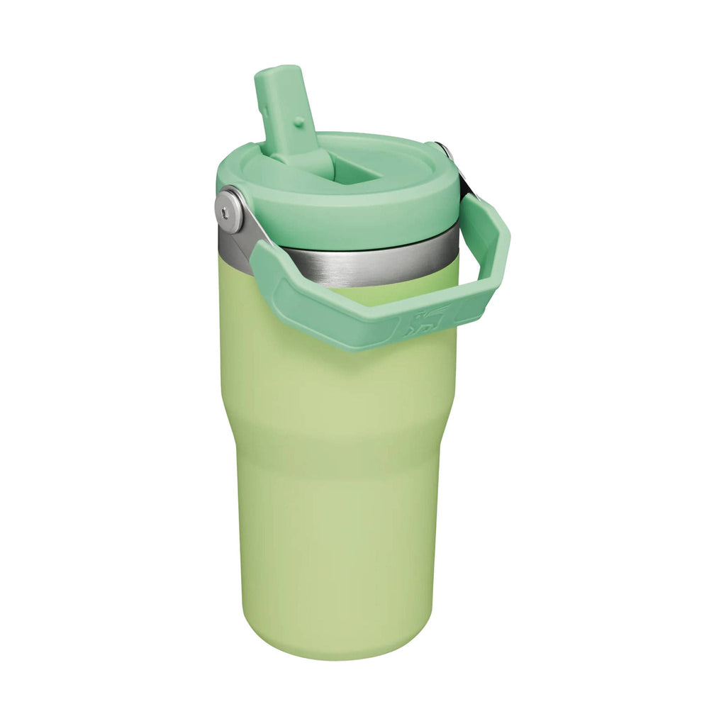 Stanley The IceFlow Flip Straw Tumbler 20 oz - Citron - Lenny's Shoe & Apparel