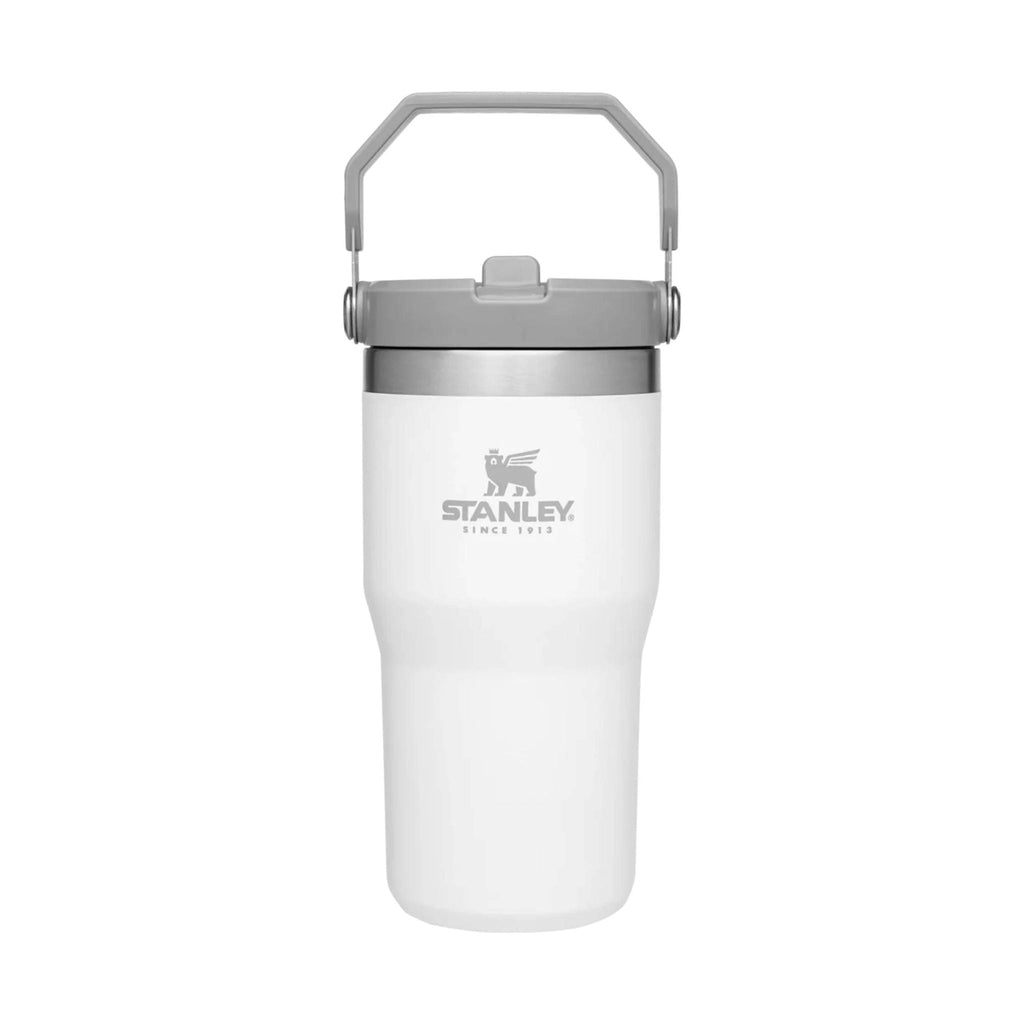 Stanley The IceFlow Flip Straw Tumbler 20 oz - Polar - Lenny's Shoe & Apparel